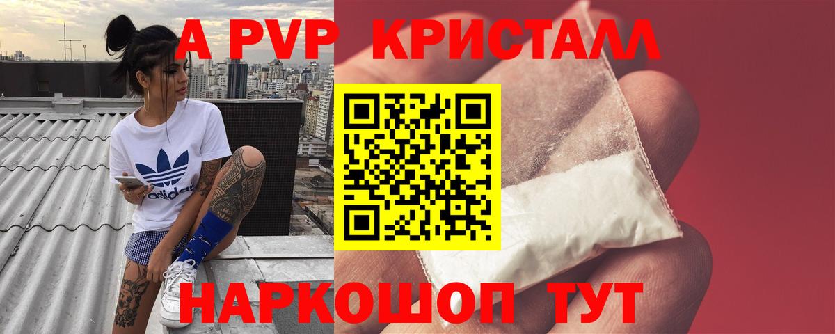 APVP СК КРИС Алейск