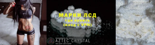 прущие грибы Абинск