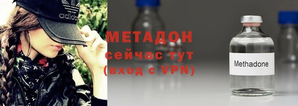 прущие грибы Абинск