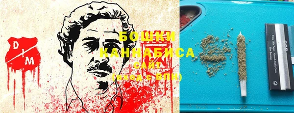 прущие грибы Абинск