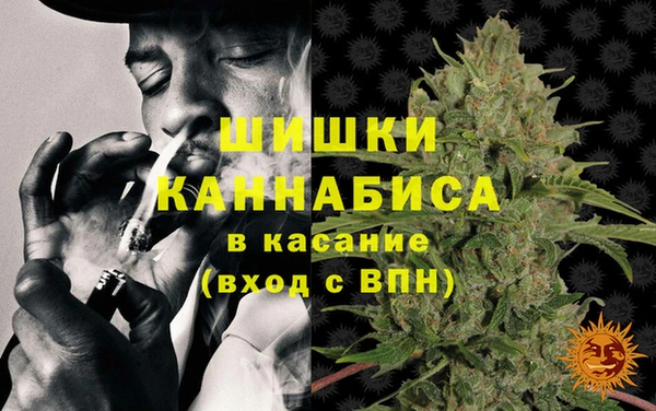 прущие грибы Абинск