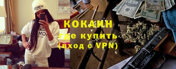 прущие грибы Абинск