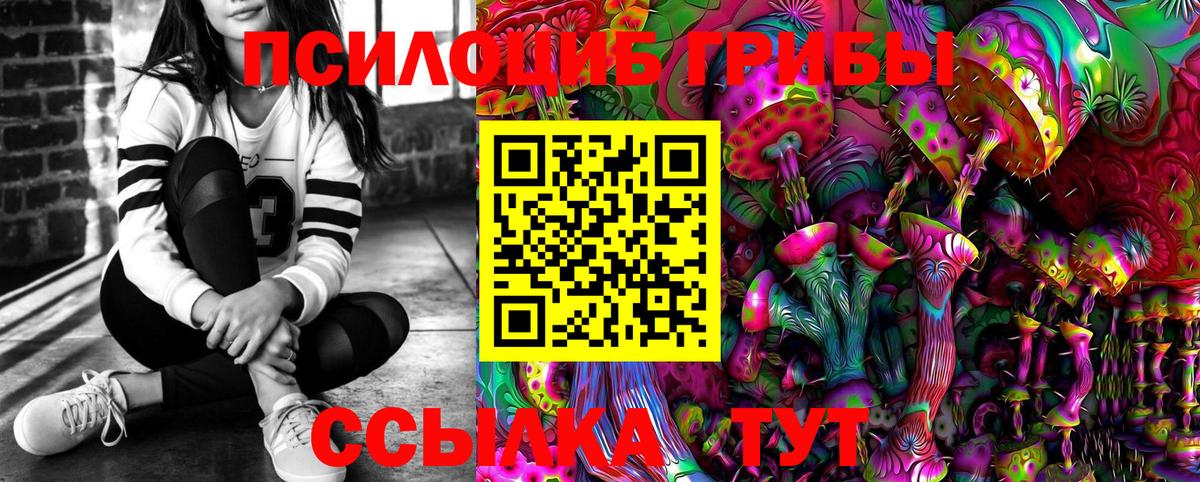 Алейск  Псилоцибиновые грибы мицелий  Вход с VPN 