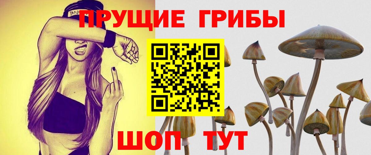 Галлюциногенные грибы Magic Shrooms Алейск